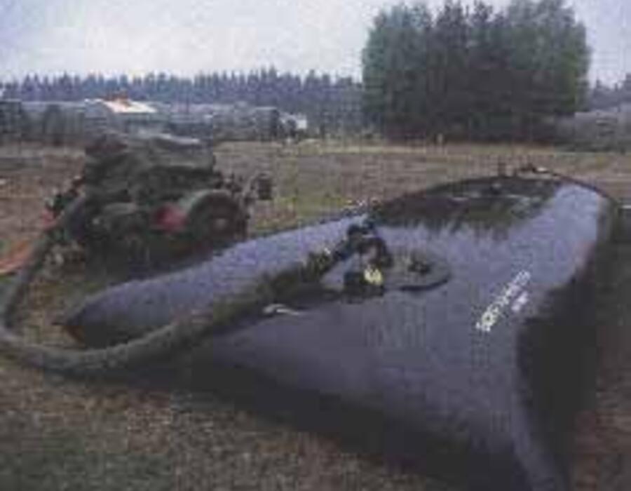 fuel-w-storage.jpg