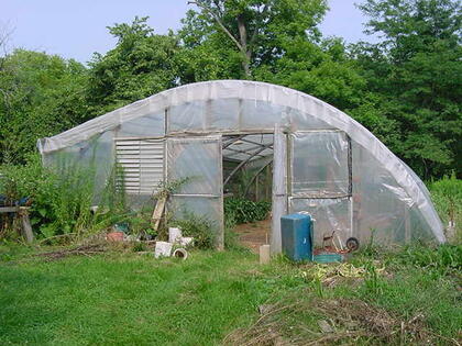 greenhouse-1.jpg